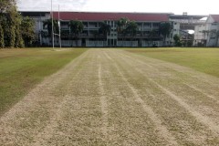 line-album-coring-verti--cut-top-soil--.--260131-5