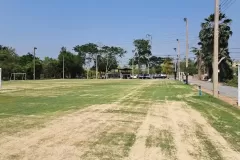 topsoil-tp05