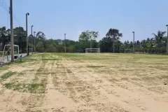 topsoil-tp06