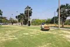 topsoil-tp09