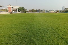 line-album--topsoil--260131-1