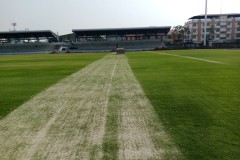 line-album--topsoil--260131-2