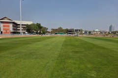 line-album--topsoil--260131-9