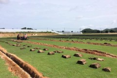 LINE_ALBUM_งานท้อปทรายสนามฟุตบอล-การไฟฟ้า-พระนคร