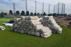 line-album----20